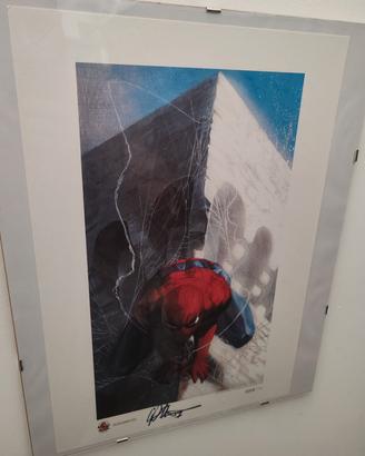marvel dell'otto autografato