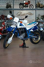 Suzuki DR 600 1986 conservata DR600