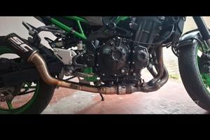  collettori  kawasaki 2023 