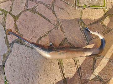 Espansione originale Aprilia RS 50 am6