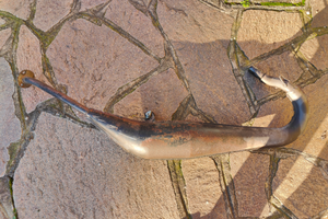 Espansione originale Aprilia RS 50 am6