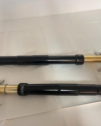 Forcelle Ohlins Nix43 FGRT 214 foderi neri Ducati