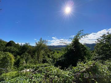 3 LOCALI A TORRIGLIA