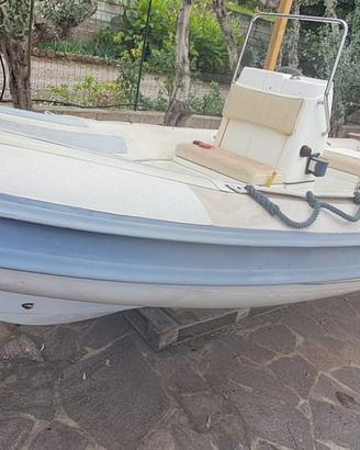 Gommone Gotek 48+fuoribordo Evinrude 40cv E-Tec 2T
