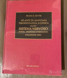 Atlanti di patologia medica Netter