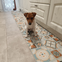 Cucciolo parson Russell