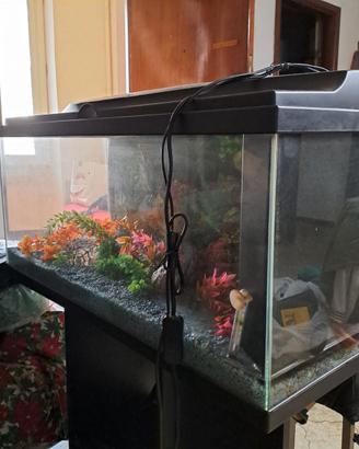 2 acquario con mobiletto