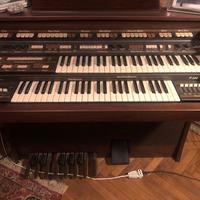 Solton P600 organo-tastiera