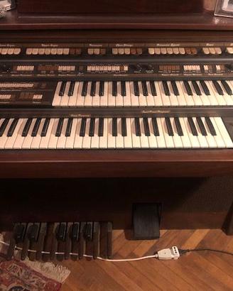 Solton P600 organo-tastiera