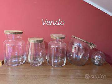 Vasi di vetro per terrarium