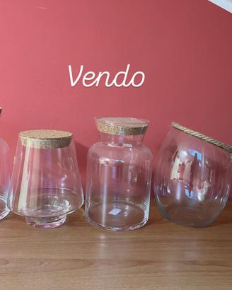 Vasi di vetro per terrarium