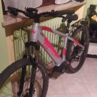 e-bike whistle am 80