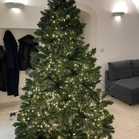 Albero di Natale altezza 210 cm