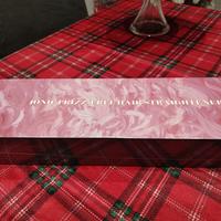 piastra per capelli professionale