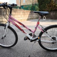 Bicicletta MTB 26