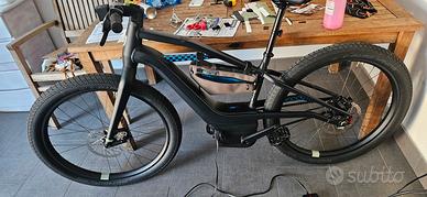 Bicicletta Elettrica