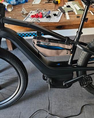 Bicicletta Elettrica