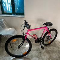 Montain bike Bottecchia- Carnielli ottime condiz