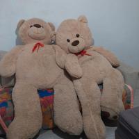  orsacchiotti giganti