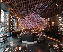 Ostianse,P.Fluviale Ristorante LoungeBar mq215ca