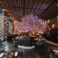 Ostianse,P.Fluviale Ristorante LoungeBar mq215ca