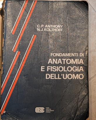Fondamenti anatomia e fisiologia uomo