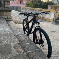 Focus black forest 27.5