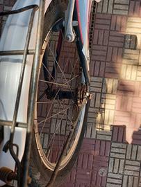 Bicicletta casadei Lincy 20