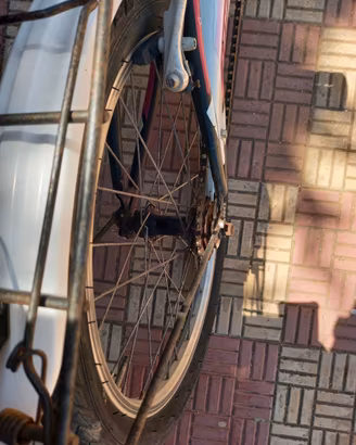 Bicicletta casadei Lincy 20