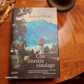 Una finestra vista lago