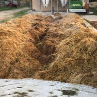 Letame stallatico di cavallo biologico