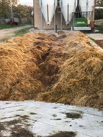 Letame stallatico di cavallo biologico