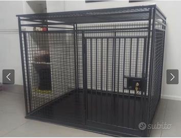 Kennel cane