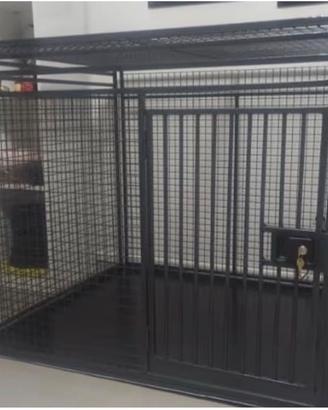 Kennel cane