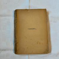 Alfonso Daudet, Cosino: avventure di un fanciullo