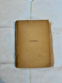 Alfonso Daudet, Cosino: avventure di un fanciullo