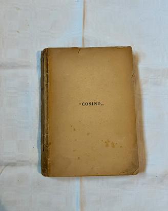 Alfonso Daudet, Cosino: avventure di un fanciullo