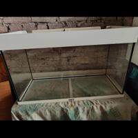 Acquario juwel rio 125 litri