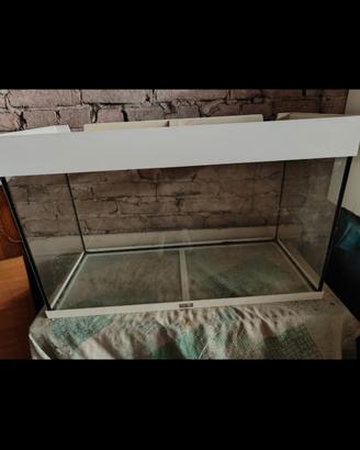 Acquario juwel rio 125 litri