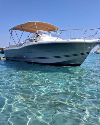 White Shark 268 – motori 2022 – Full Optional