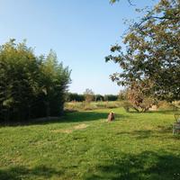 Terreno agricolo di 9.880mq delimitato alte siepi