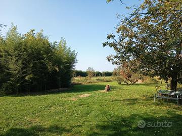 Terreno agricolo di 9.880mq delimitato alte siepi
