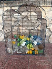 accessori per uccelli