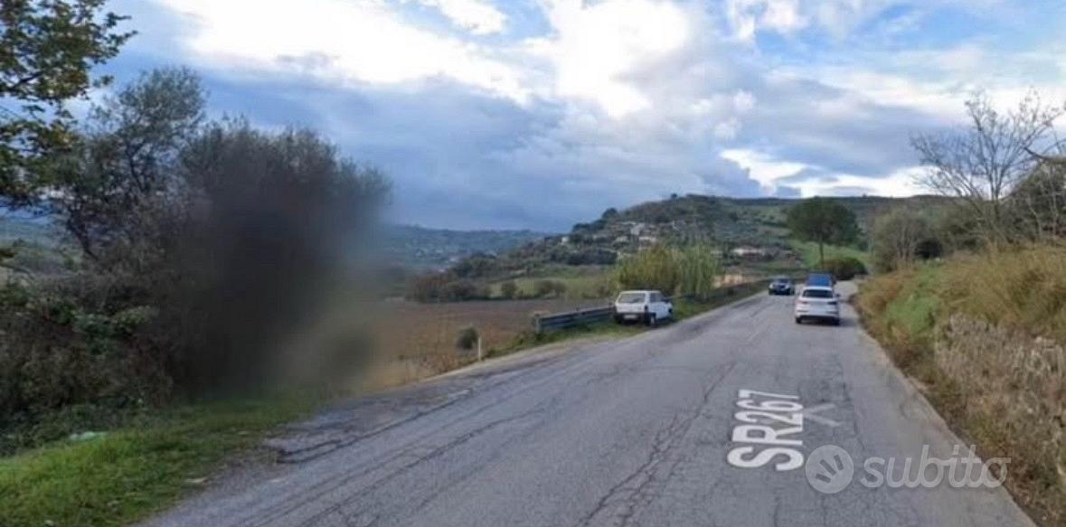 Terreno agricolo in Laureana Cilento - Vista 3