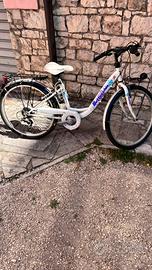 Bici bottecchia 24