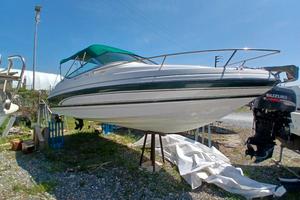 Barca Americana Chaparral 19.35 Valutiamo Permuta