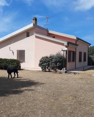 Villa a 80 metri dal mare nord sardegna