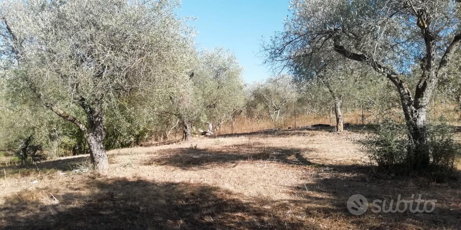 Segasidda minori Indipendente con terreno - Vista 5