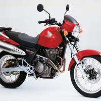 honda vigor 650 tagliandata