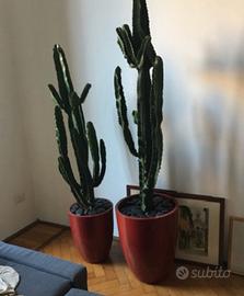 Vasi grandi da interno